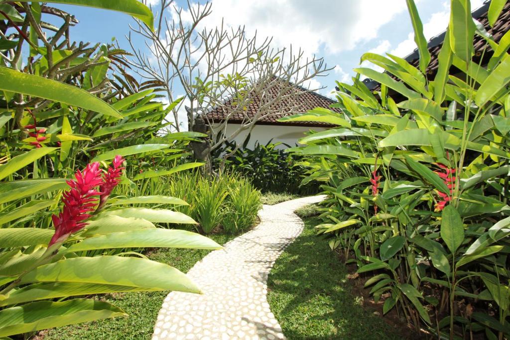 ウブド Sunset Hill Bed & Breakfast 部屋 写真